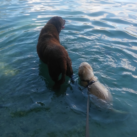 πΏπ» Meet your Posher π»πΏ - Picture 5 of 7